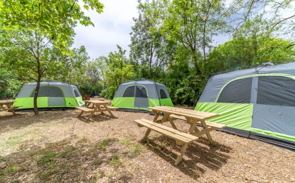 camping dafna