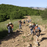 שביל הפסגה