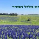 מטיילים בליל הסדר